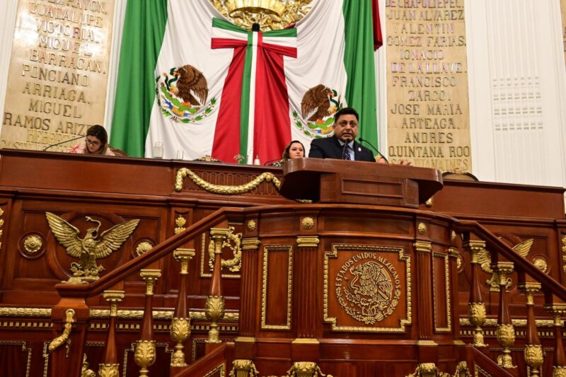 Salvar los árboles, salvar la ciudad: buscan frenar la pérdida de áreas verdes en CDMX