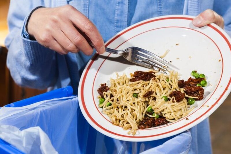 El mundo tira mil millones de platos de comida al día mientras millones padecen hambre