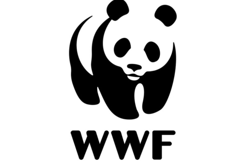 Pilar Jacobo, nueva Directora de Conservación de WWF México