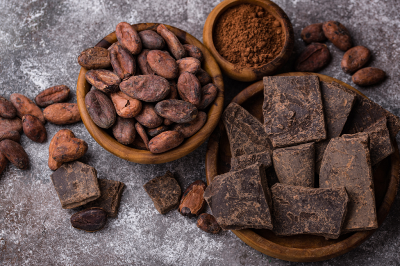 Del balcón a la tableta: cultiva tu propio árbol de cacao en la ciudad