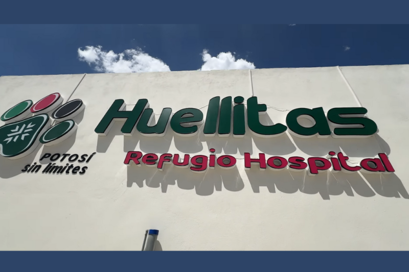 Huellitas: el primer santuario canino público y gratuito abre sus puertas en San Luis Potosí