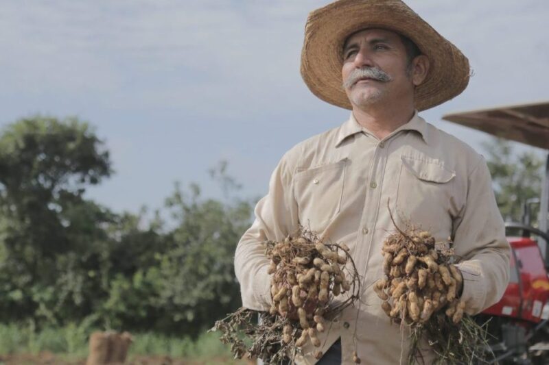 Colima impulsa la Ruta del Cacahuate en Ixtlahuacán