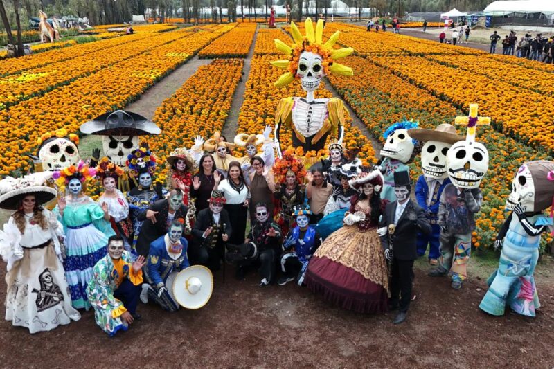 La flor de los muertos florece como un acto de resistencia en la Ciudad de México