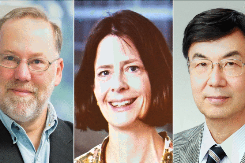 Estados Unidos y Japón conquistan el Premio Nobel de Medicina 2025