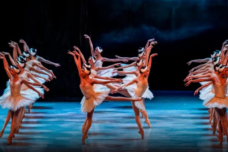 Un fin de semana lleno de emociones en CDMX: del terror a la danza clásica