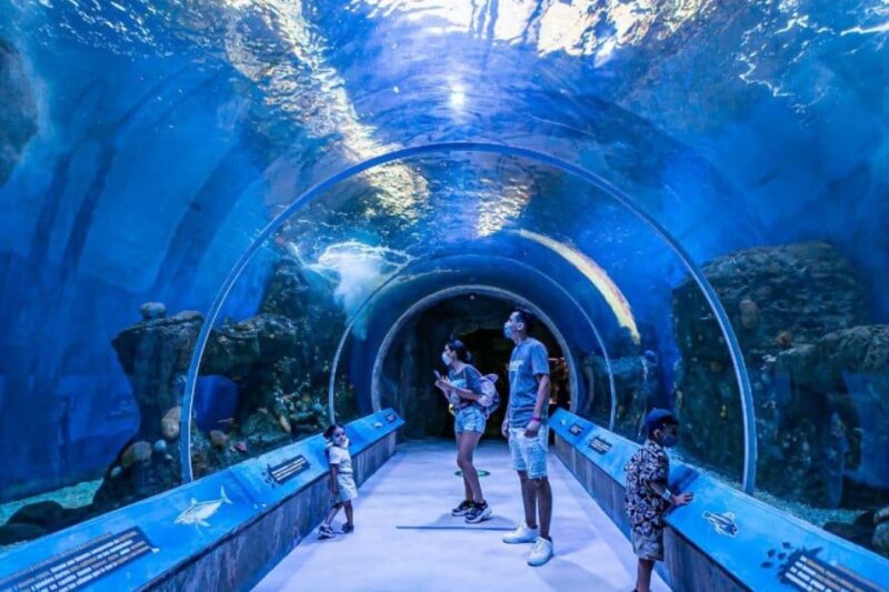 Terror, arte y fantasía: las experiencias imperdibles en la CDMX este fin de semana
