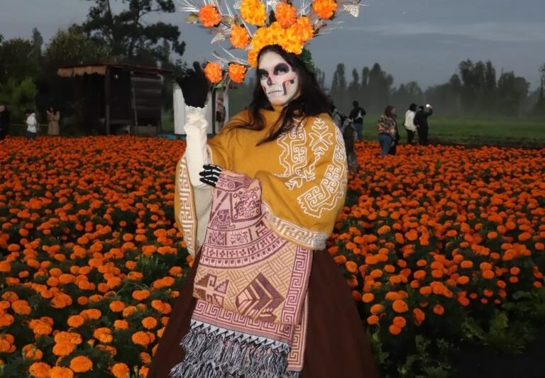 Ruta del Cempasúchil 2025: un viaje entre flores, leyendas y memoria