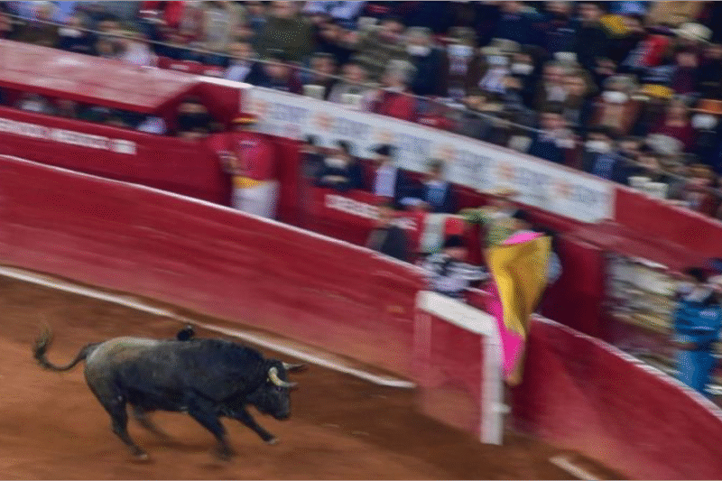 Suprema Corte no unifica postura sobre corridas de toros en México