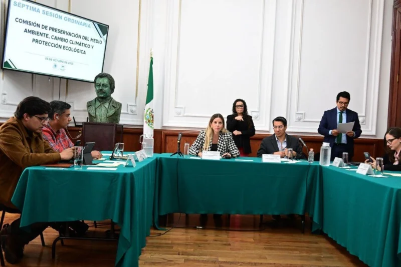 Mónica Vietnica Alegre González, propuesta para encabezar la PAOT en el periodo 2025-2029