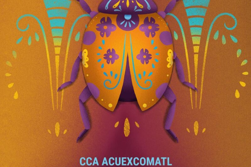 Xochimilco celebra la vida y la memoria con el Festival Biocultural de Muertos 2025