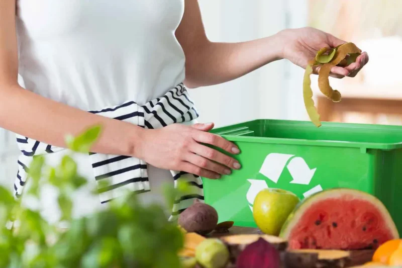 Ciudad de México obligará la separación de basura a partir de 2026 para fomentar reciclaje y sostenibilidad
