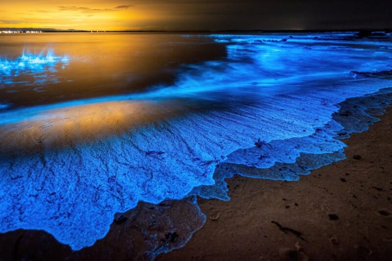 Un mar de estrellas a tus pies: descubre las playas que brillan en Nayarit