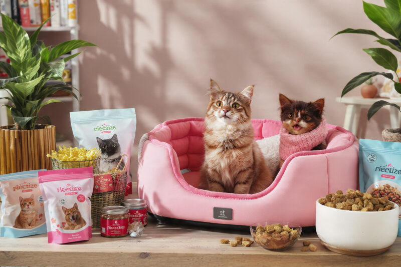 Accesorios y alimentos premium para mascotas arrasan gracias al “pet parenting”