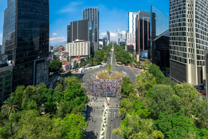 El paciente más famoso de México: la ciencia detrás del ahuehuete de Reforma