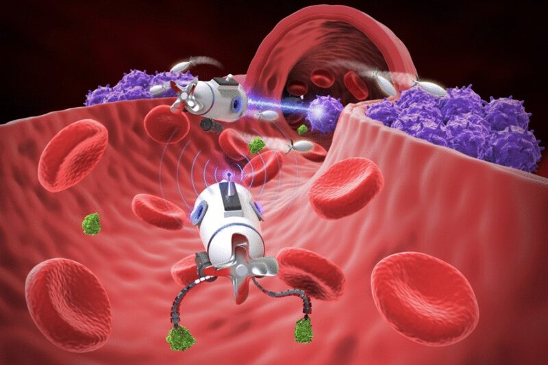 Microrobots que navegan por la sangre: la nueva frontera de la medicina de precisión