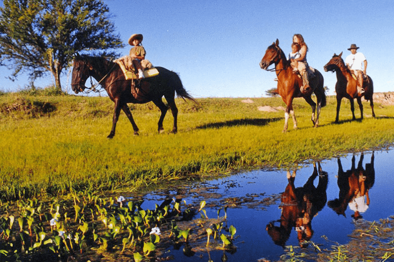 Agroturismo gourmet: de la granja a la mesa