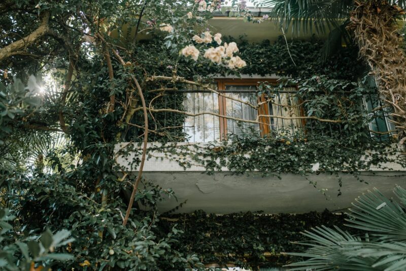 Jardinería coreana en balcones: el fenómeno Garden Puns y cómo crear un mini oasis en menos de 2 m²